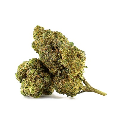 White Choco Skittlez THCA Indoor — Fleur chocolat blanc, douce et épicée | Magic Farmers