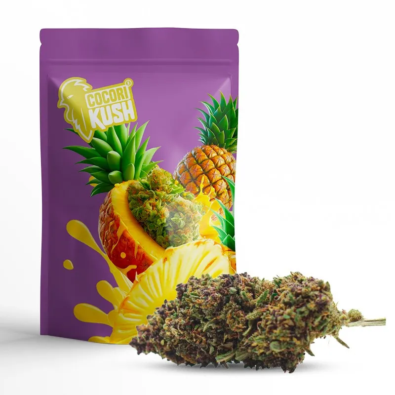 PURPLE PUNCH | DIE BESTE CBD-BLÜTE FÜR DEN INDOOR-ANBAU