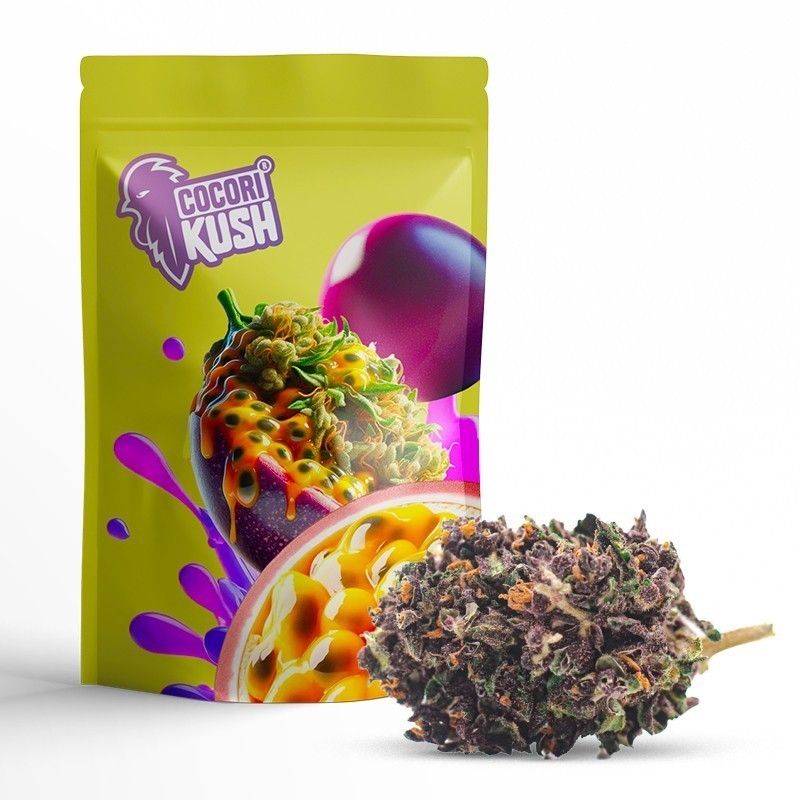 CBD-BLÜTE PURPLE HAZE | DAS STÄRKSTE CBD