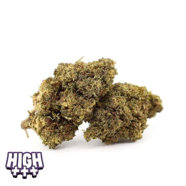 Munchies Haze 26 % THCA | Fleur énergisante & euphorique