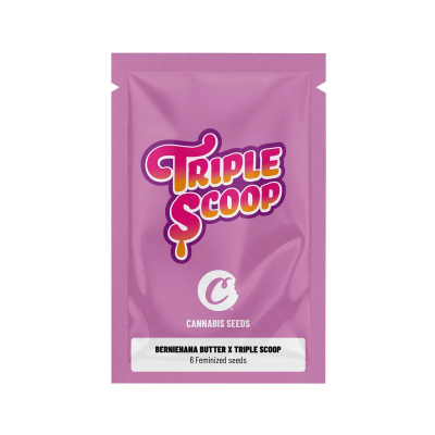 Graines Féminisées Berniehana Butter x Triple Scoop Cookies® x6 — Exclusivité Europe