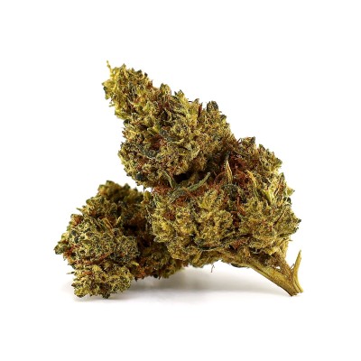 Lemon Strawberry Bomb THCA — Fleur Greenhouse Magic Farmers | Effet Énergisant