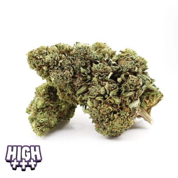 Grape Zenzu THCA – Fleur indoor euphorisante raisin & diesel