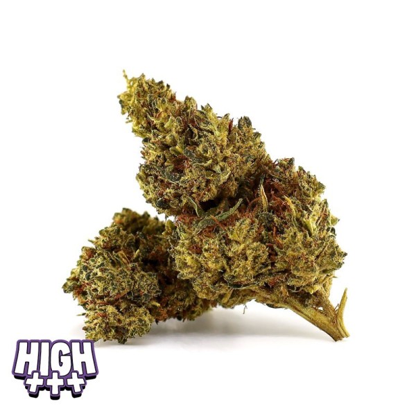 Lemon Strawberry Bomb THCA — Fleur Greenhouse Magic Farmers | Effet Énergisant
