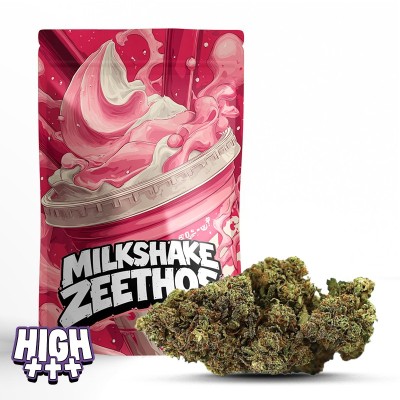 Milkshake Zheetos THCA Indoor – Süße, fruchtige und erdige Blüten