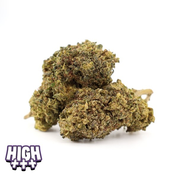 Slurrican IX THCA Greenhouse — Fleur crémeuse, fruitée et terreuse | Magic Farmers