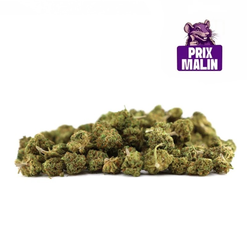 Small Buds Outdoor CBD – Kleine natürliche Blüten, erdiges Profil | Cocorikush