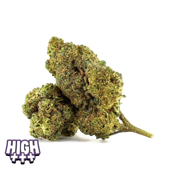 White Choco Skittlez THCA Indoor — Fleur chocolat blanc, douce et épicée | Magic Farmers