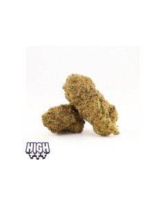 Georgia Pie THCA – Fleur gourmande aux notes de pêche 2