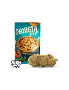 Georgia Pie THCA – Fleur gourmande aux notes de pêche
