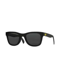 Lunettes de soleil Lemonade by Cookies® wayfarer noir mat verres fumés logo doré branche