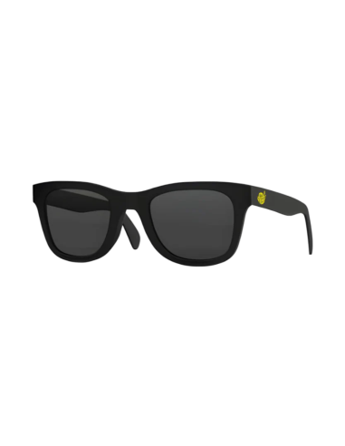 Lunettes de soleil Lemonade by Cookies® wayfarer noir mat verres fumés logo doré branche