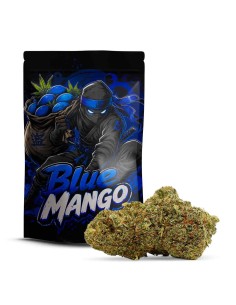BLUE MANGO 10-OH-HHC+ 30% | FLEUR 10-OH