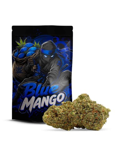 BLUE MANGO 10-OH-HHC+ 30% | FLEUR 10-OH