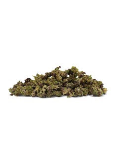 PURPLE URKLES SMALL BUDS COCORIKUSH 2