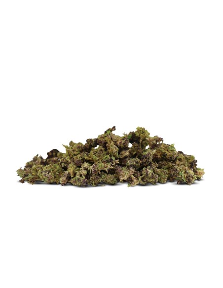 Purple Urkle Small Buds 50% Delta-10 — Raisin Noir, Fruits Rouges & Notes Florales | Cocorikush