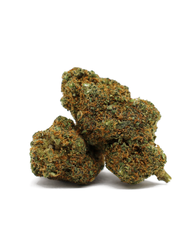 TURBO BACON 50% D10 - COCORIKUSH