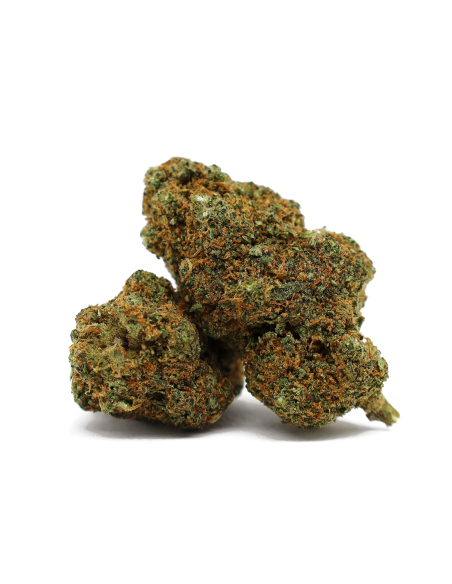 TURBO BACON 50% D10 - COCORIKUSH