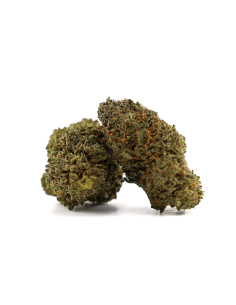 PINK PANTY DROPPER 50% D10 POCHON - COCORIKUSH 2