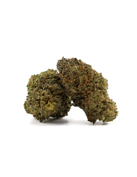 PINK PANTY DROPPER 50% D10 - COCORIKUSH
