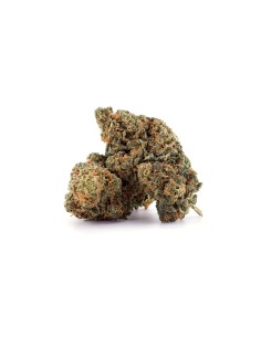FLEUR D10 COCORIKUSH 2
