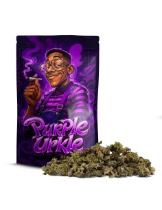 PURPLE URKLES SMALL BUDS COCORIKUSH