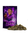 PURPLE URKLES SMALL BUDS COCORIKUSH