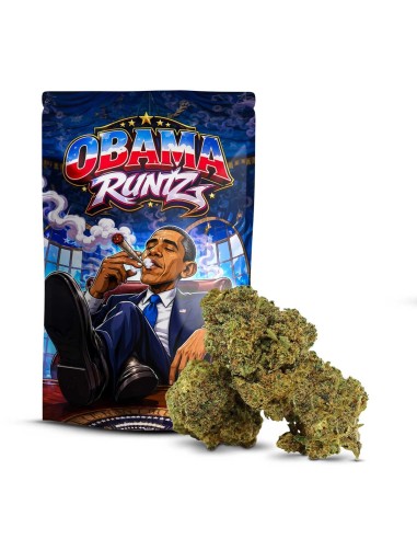 Obama Runtz 50% Delta-10 — Fleur Premium Fruitée & Crémeuse, Têtes Résineuses | Cocorikush