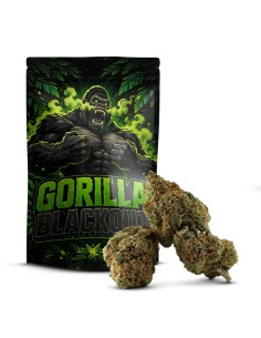 GORILLA BLACKOUT D10 COCORIKUSH