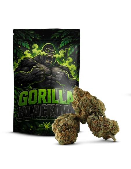 GORILLA BLACKOUT D10 COCORIKUSH