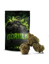GORILLA BLACKOUT D10 COCORIKUSH