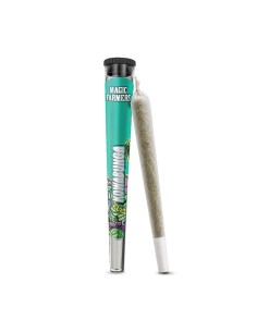 Pre-Roll Magic Sauce Kowabunga Black Cherry Gusher — Magic Farmers | Cocorikush