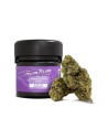 GRANDDADDY KUSH CBD MELLOW FELLOW®