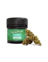 STRAIGHT AS HAZE INFUSED MELLOW FELLOW®