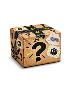 Verlorenes Paket – Rätselhaftes Rücksendepaket für 19,90 € | Cocorikush