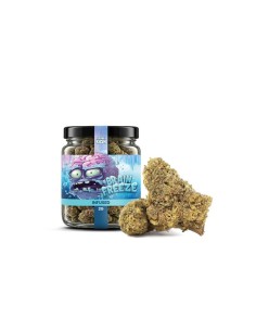 Brain Freeze Delta-10 Cocorikush – Fleur Infusée Puissante