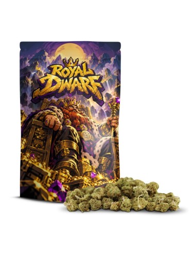 Royal Dwarf Small Buds 50% Delta-10 | Fleur – Cocorikush