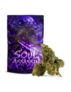 Soul Assassin Delta-10 50% – Fleur Puissante | Cocorikush