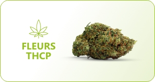 cbd cocorikus