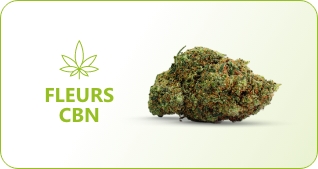 cbd cocorikus