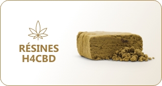 cbd cocorikush