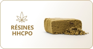cbd cocorikush