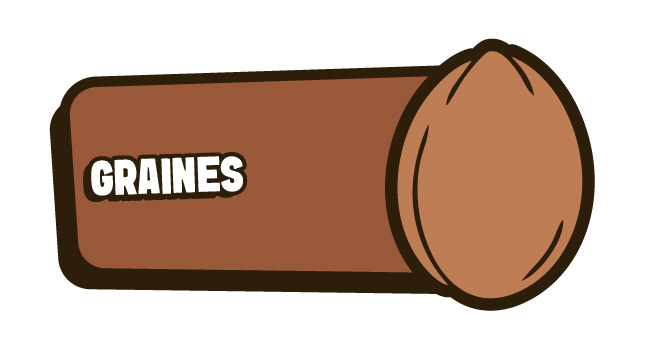 Graines de chanvre