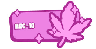 HEC-10