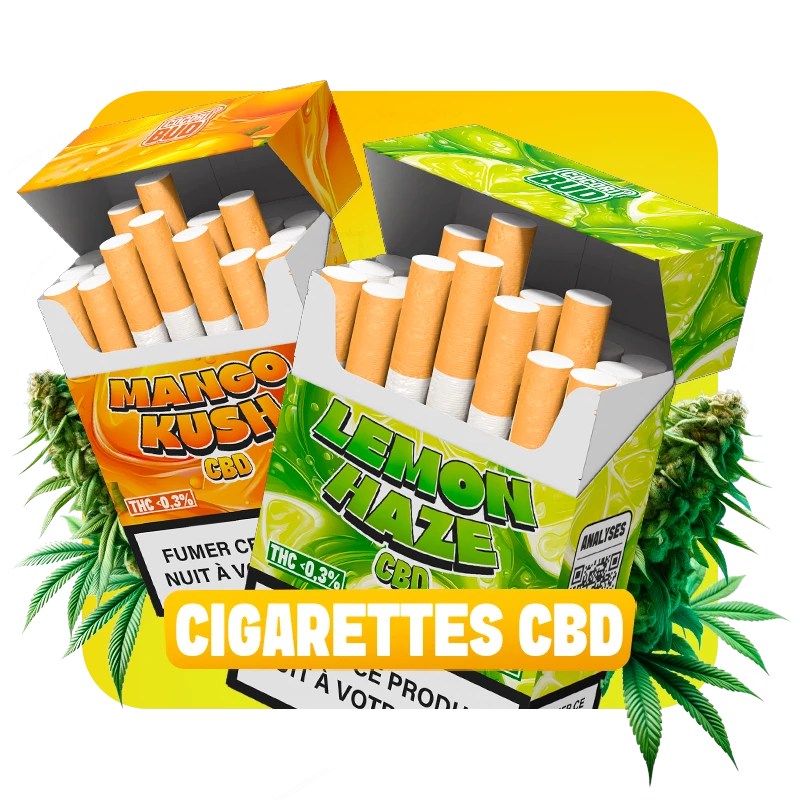 bloc-cigarette-cbd