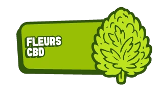 CBD-Blüten
