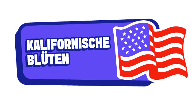 Blumen aus Kalifornien
