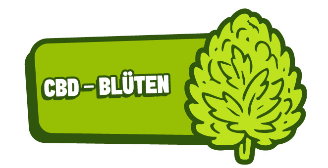 CBD-Blüten