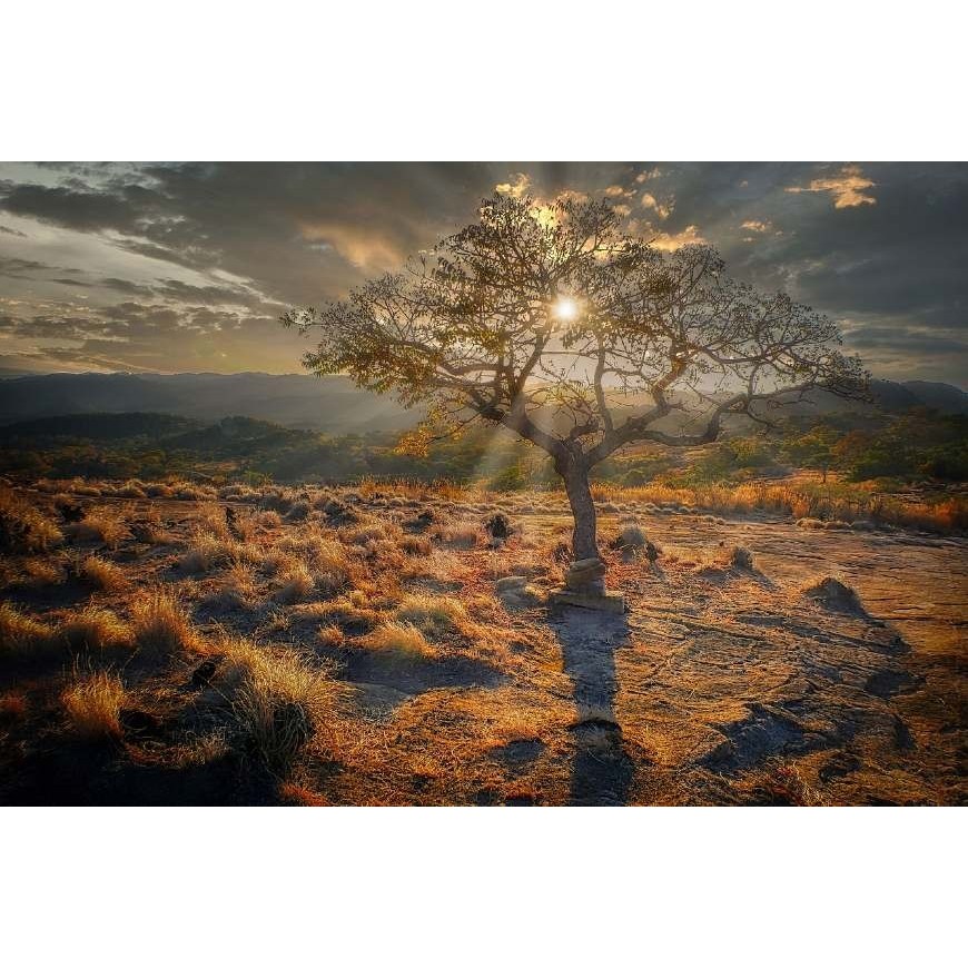 Zimbabwe : le CBD à la rescousse de l'économie ?