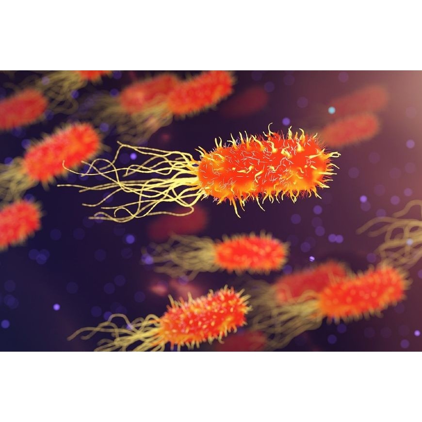 Et si les microbes boostaient la production de CBD ?